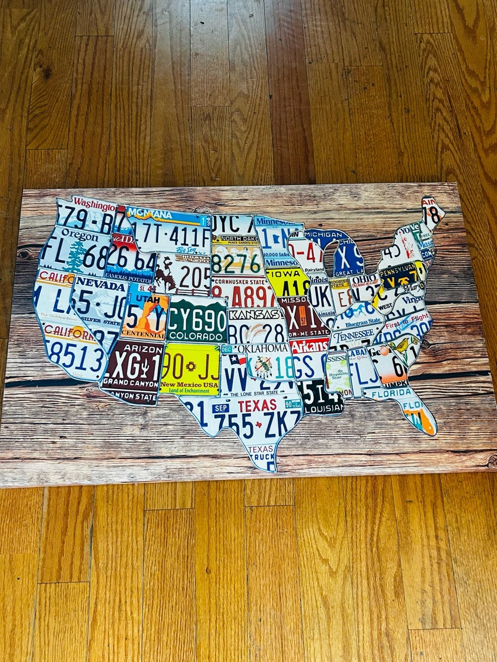 Vintage License Plate USA Map Wall Art - Multicolor